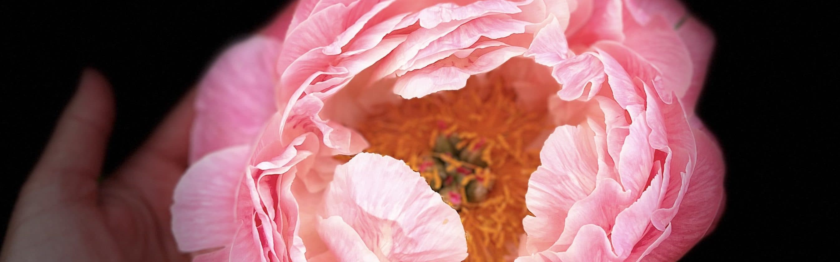 Banner background